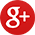 Google Plus Icon